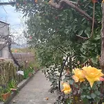 Spartan Antonis' House * Esparta