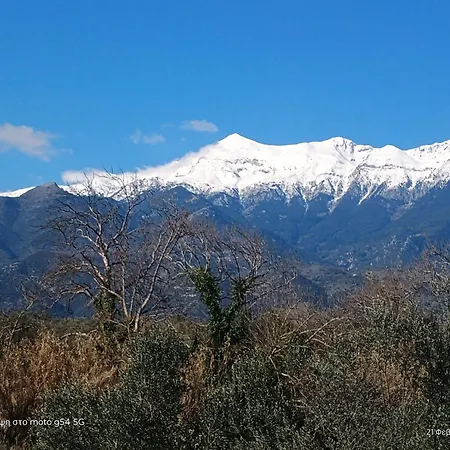 Spartan Antonis' House Дом отдыха Спарта