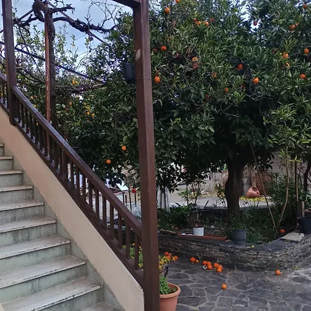 Spartan Antonis' House *