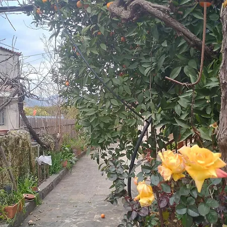 Spartan Antonis' House * Спарта