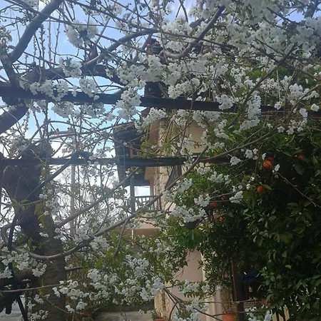 Spartan Antonis' House Дом отдыха Спарта