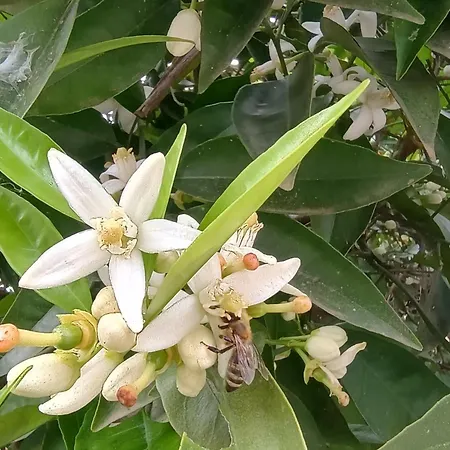 Дом отдыха Spartan Antonis' House Спарта