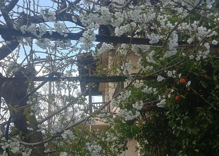 Spartan Antonis' House Σπίτι διακοπών Σπάρτη