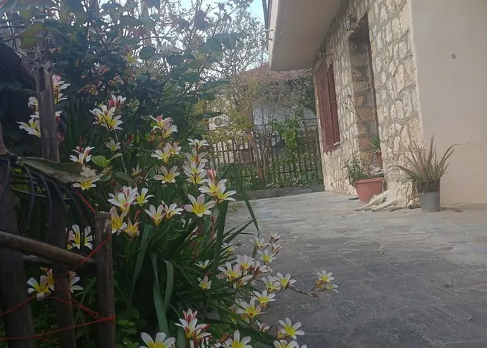 Spartan Antonis' House Σπίτι διακοπών Σπάρτη