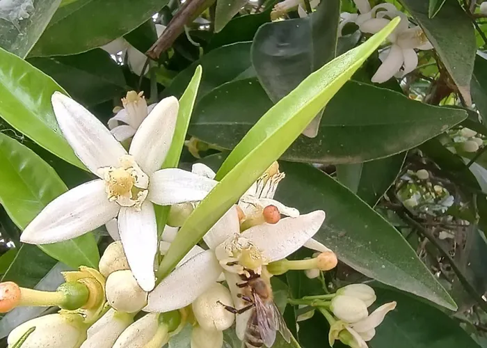 Holiday home Spartan Antonis' House Sparta